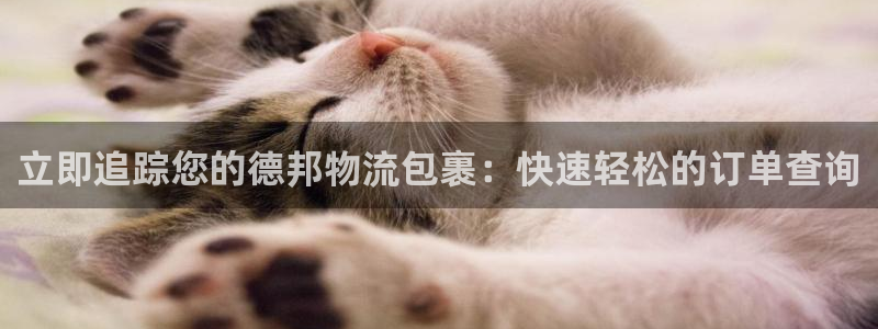 28圈官方平台