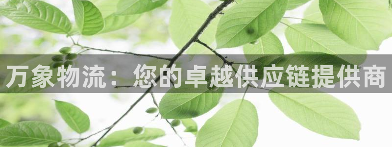 28圈：万象物流：您的卓越供应链提供