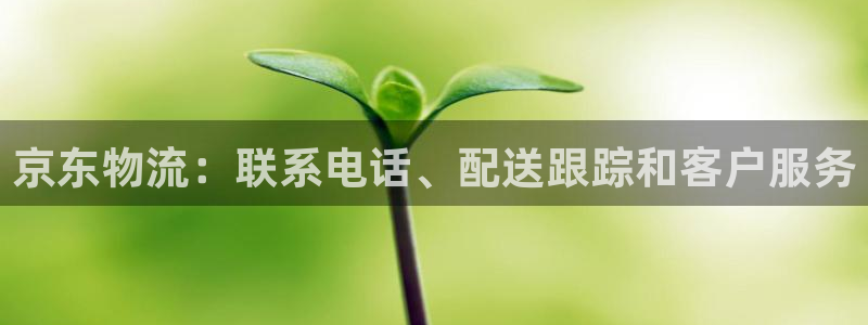 28圈口内径是多大
