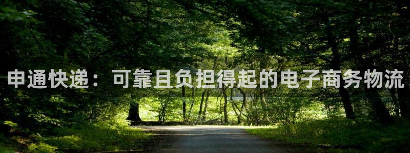 28圈游戏