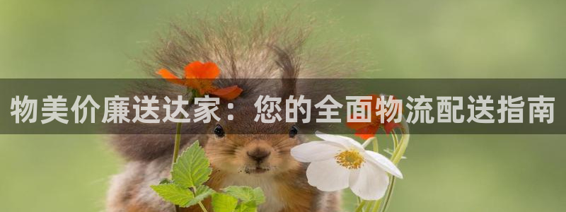 自行车28圈是什么意思：物美价廉送达