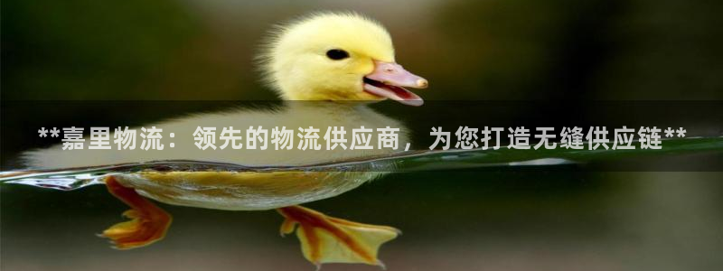 28圈.ccmpc29官网版