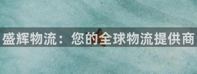 28圈注册网页版：盛辉物流：您的全球