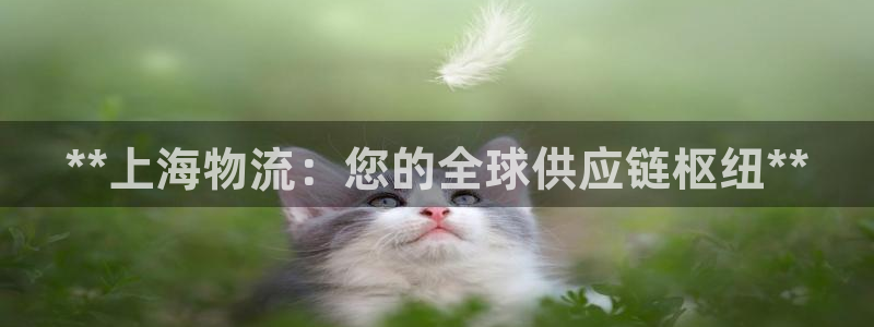 28圈aPP退款