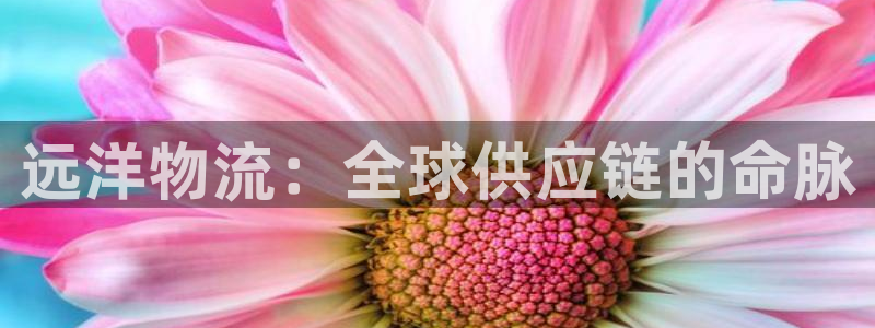 28圈充值不处理怎么办：远洋物流：全