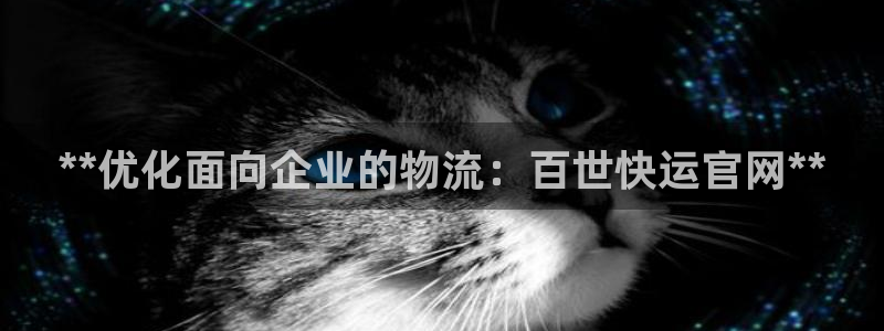 28圈预测加拿大：**优化面向企业的