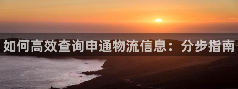28圈注册官网：如何高效查询申通物流
