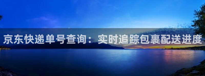 28圈预测加拿大：京东快递单号查询：