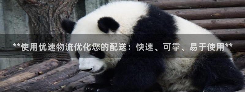 28圈h5链接