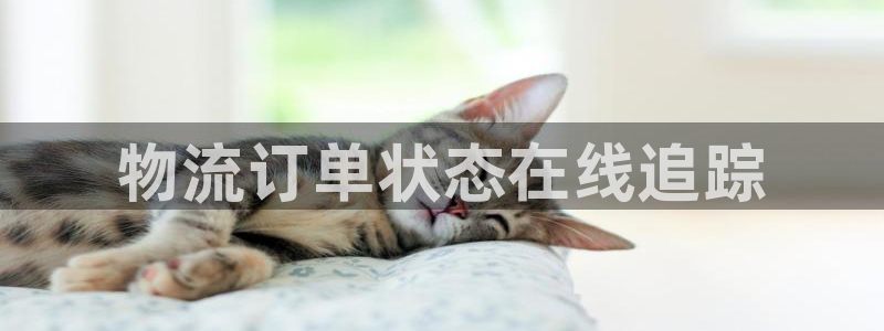28圈取保