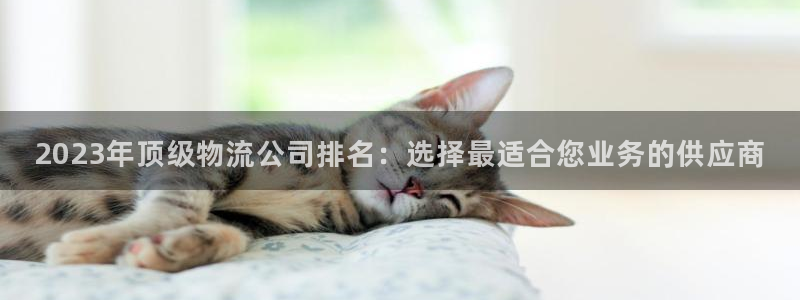 28圈注册条件：2023年顶级物流公