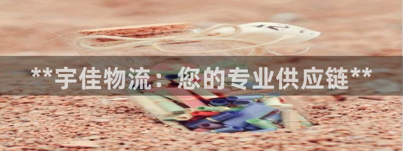 28圈预测网