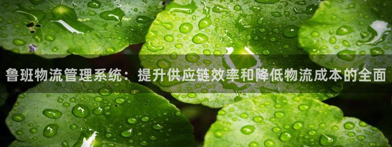 28圈游戏官网平台