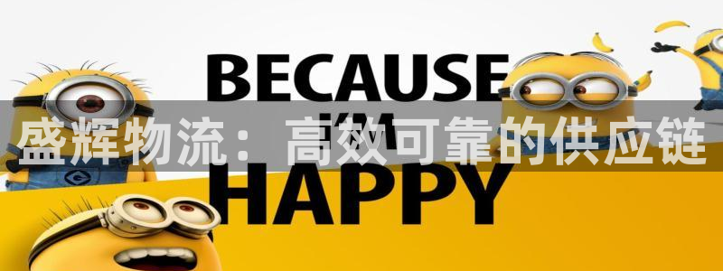 28圈登录网：盛辉物流：高效可靠的供