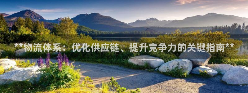 28圈官网多少