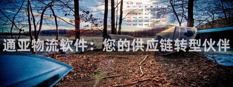 28圈免费：通亚物流软件：您的供应链