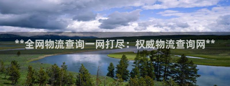 28圈龙虎