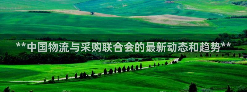 28圈代理落网