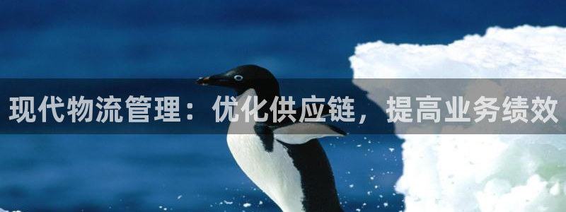 28圈官网版下载：现代物流管理：优化