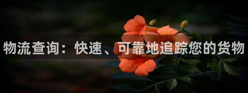 28圈哪个最赚钱