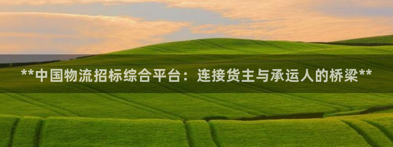 28圈ccm游戏