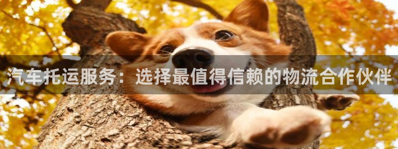 28圈注册用户名是什么：汽车托运服务