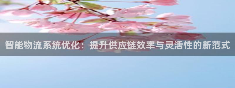 28圈注册上限是啥意思：智能物流系统