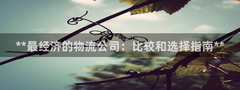 28圈里的财神：**最经济的物流公司