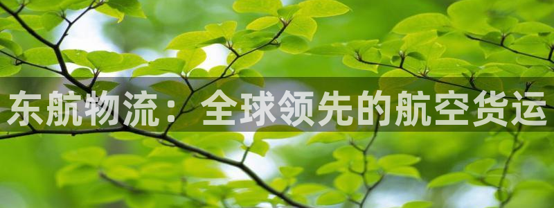 28圈为什么打不开：东航物流：全球领先的航空货运