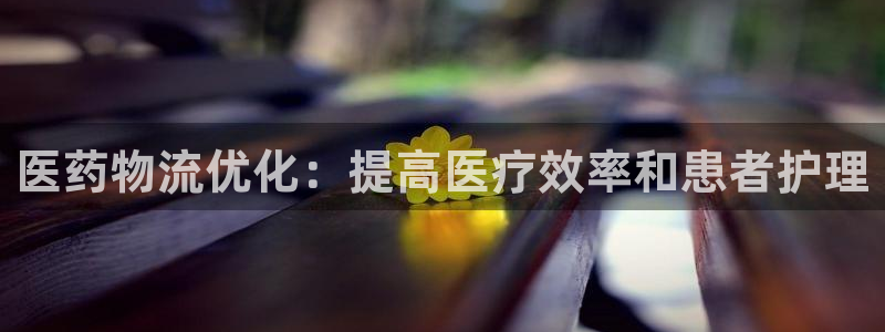 28圈选28ng官网：医药物流优化：