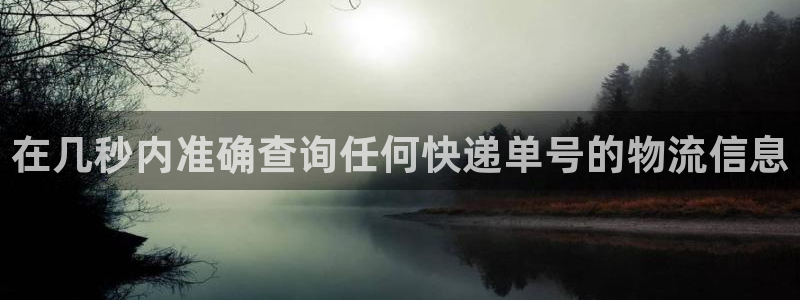加拿大28圈是什么：在几秒内准确查询
