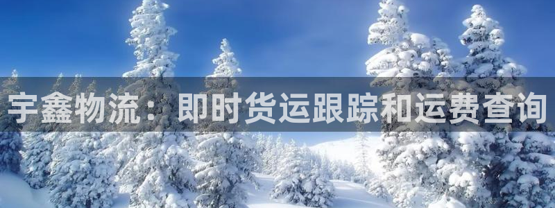 28圈：宇鑫物流：即时货运跟踪和运费