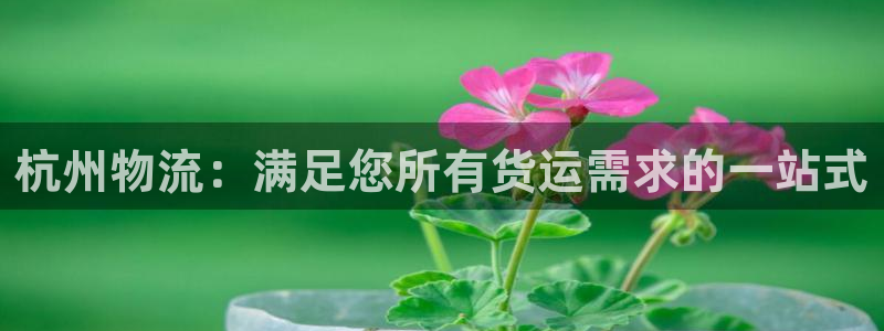 28圈昵称