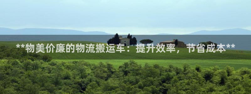 28圈官网预测：**物美价廉的物流搬运车：提升效率，节省成本