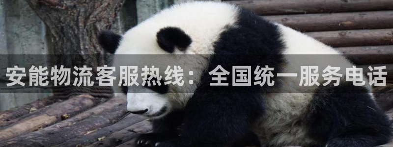 28圈游戏官网入口：安能物流客服热线