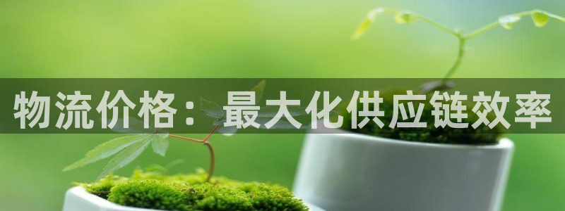 28圈官网预测：物流价格：最大化供应
