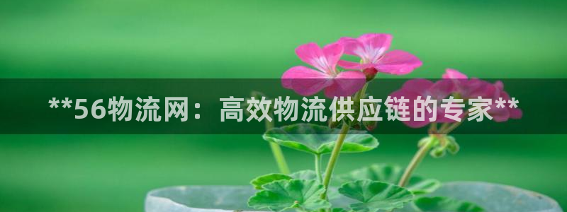 28圈p扣款什么意思