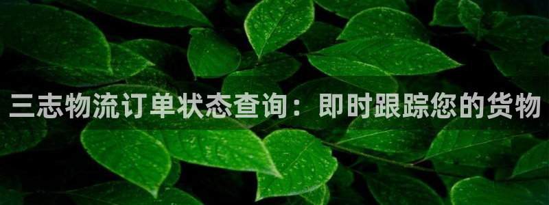 28圈软件总是闪退怎么回事