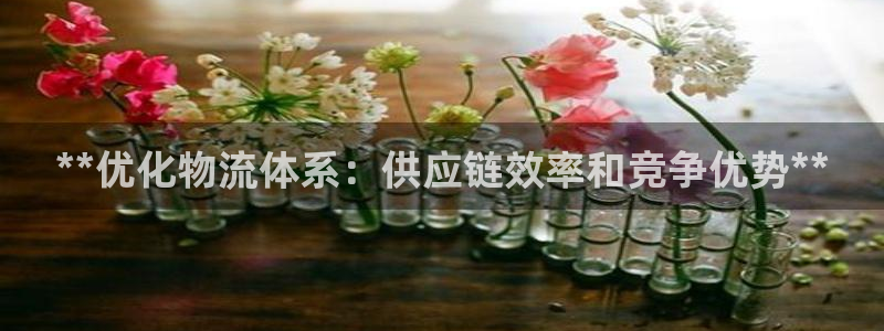 南宫28圈怎么注册：**优化物流体系