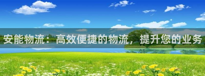 28圈反水：安能物流：高效便捷的物流