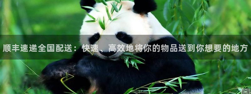 28圈p扣除