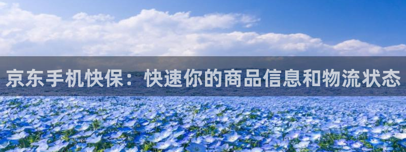 28圈免费充钱：京东手机快保：快速你