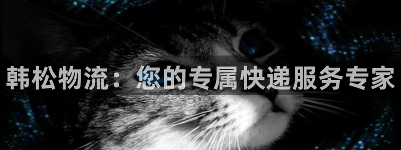 28圈百度百科：韩松物流：您的专属快