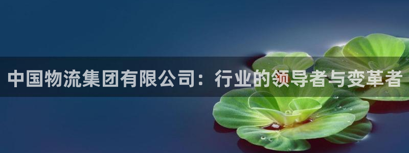 南宫28圈官网版