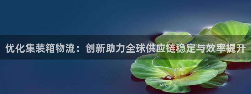 28圈充值方式：优化集装箱物流：创新