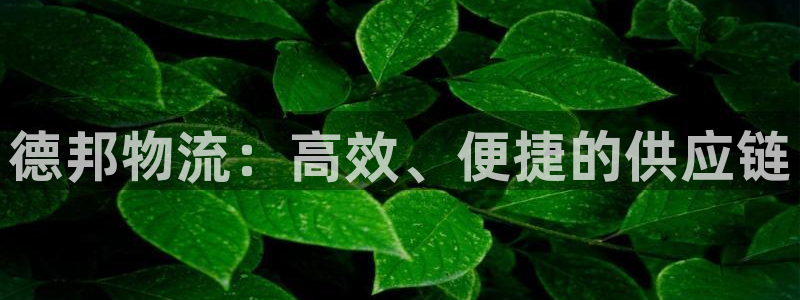 28圈链接多少