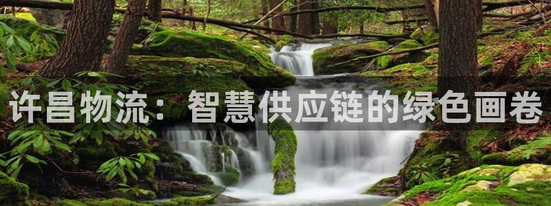 南宫28圈怎么注册：许昌物流：智慧供