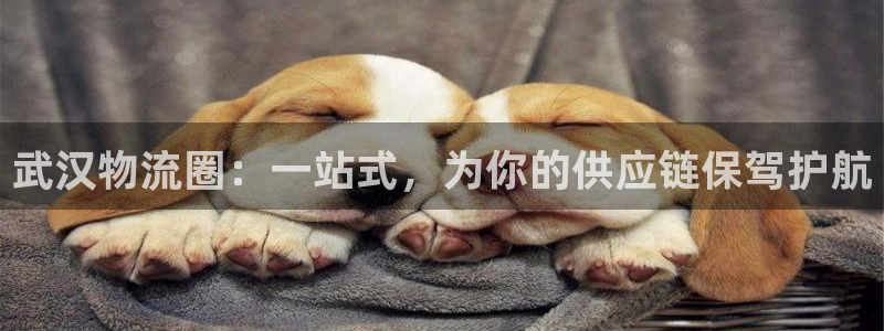 28圈怎么注册下载：武汉物流圈：一站