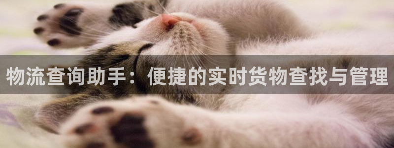 28圈黑款