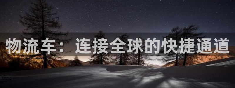 28圈app注册地址：物流车：连接全球的快捷通道